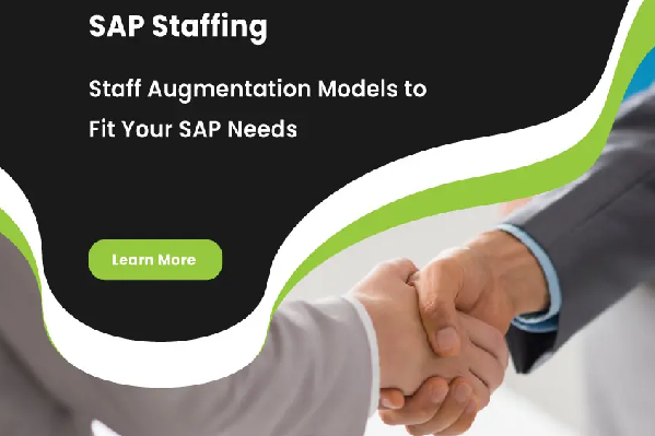 SAP Contract Staff